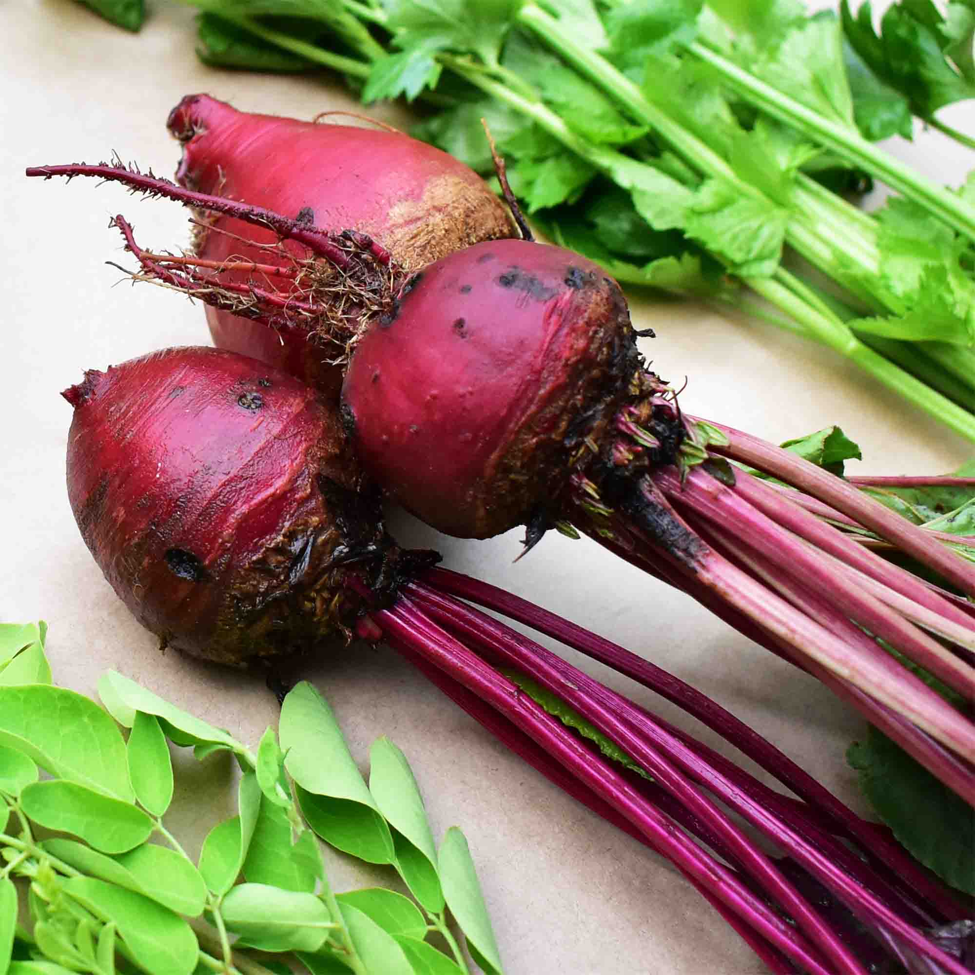 Beetroot 1